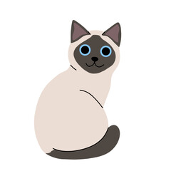 Obraz premium Cute cat concept. Adorable domestic siamese cat. Fluffy kitten sitting. Cartoon flat vector illustration isolated on white background