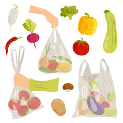 Vegetables. Set illustrations of ripe vegetables in in plastic or biodegradable bag. Shopping package with various grocery product.