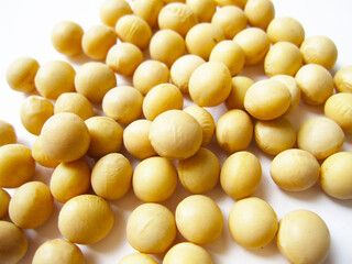 Close-Up of Soybeans on White Background（白背景とたくさんの大豆のアップ ）