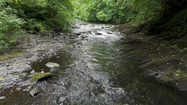Aerial pull out view of the River Tavy surrounded by lush greenery and rocky banks, Devon, UK