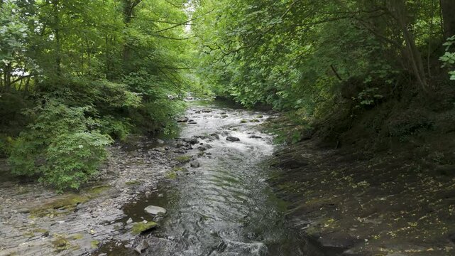 Drone view of the River Tavy flowing through dense greenery and rocky terrain, Devon, UK