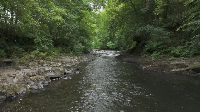 Flying up the River Tavy showcasing its clear waters and surrounding greenery, Devon, UK