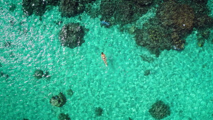 Top down woman snorkeling crystal turquoise sea water coral reef, aerial view, drone shot. Slim girl in bikini enjoy outdoor activity lifestyle, travel summer holiday vacation. Tahiti, Polynesia.