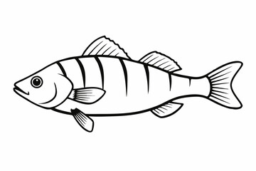 Perch  fish silhouette Vector illustration with a white background