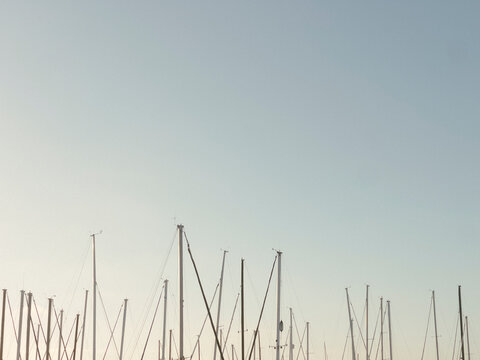 sailboat masts at a marina, silhouetted against a clear sky.