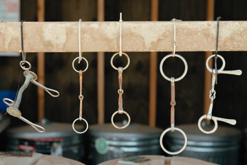 Horse bits hanging in a row on a metal bar.