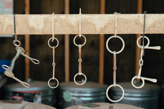 Horse bits hanging in a row on a metal bar.