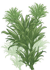 hand drawn flora decorative vector illustration