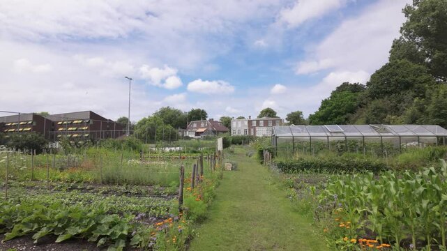 Multiple Vegetable Plots and a Greenhouse in an Urban Community Garden in Leiden, South Holland, Netherlands - Wide Shot