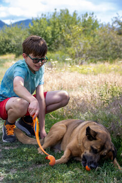 Boy playing fetch with his dog in a grassy field