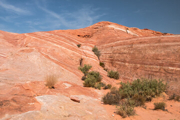 A rocky, red hillside with a few bushes and trees