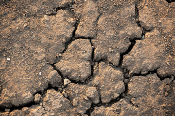 Cracked ground for background