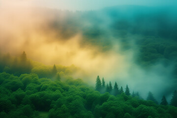 Yellow smoke covering the forest