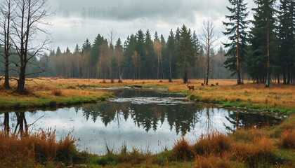 Paysage de for&ecirc;t avec &eacute;tang et cerfs