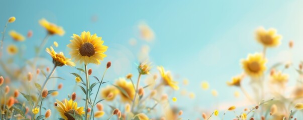 Radiant Sunflower Field in Summer Glow with Detailed Foliage under Clear Blue Sky - Realistic Nature Scene