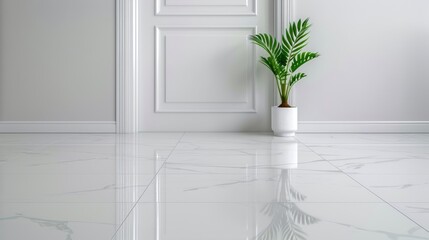 Minimalistic room with white marble floor, closed door, and green indoor plant in white pot creating a clean and serene interior setting.