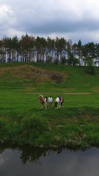 Cloudy summer day in the nature. Couple holding horses stands at the river bank. Top view. Vertical video
