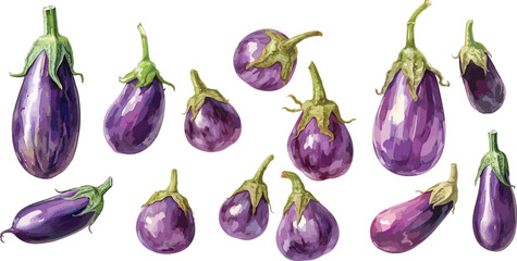 eggplant watercolor clipart