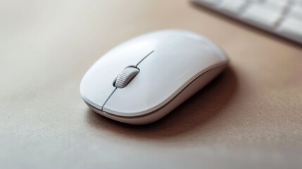 White Wireless Computer Mouse