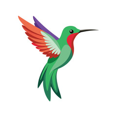 Bird  color Vector Illustration
