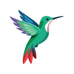 Bird  color Vector Illustration
