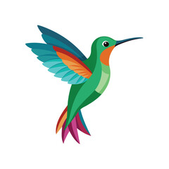 Obraz premium Bird color Vector Illustration 