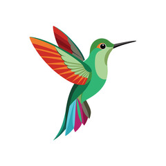 Bird  color Vector Illustration
