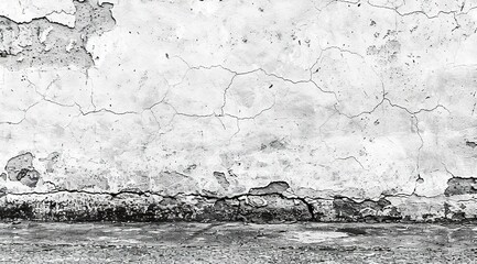 Obraz premium flock of seagulls