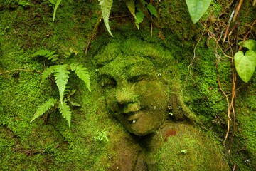 A beautiful woman face carved of rock and overgrown with moss and plants in the tropical Balinese jungle.