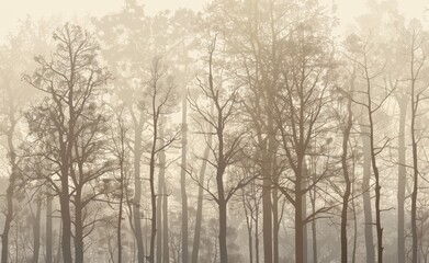 Obraz premium Continuity background with a silhouette of a deciduous forest, modern illustration