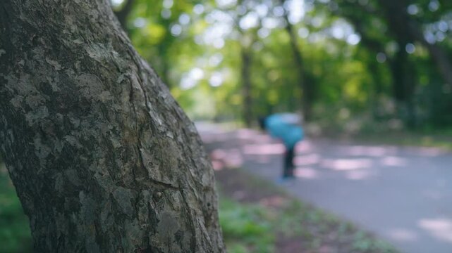 光が降り注ぐ森林　女性　散歩道　日本　北海道　スライダー撮影　Swoman　lider shooting　Sunlit forest walkway, Hokkaido, Japan