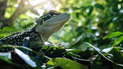 Obraz premium A basilisk slithering through a jungle
