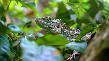 Obraz premium A basilisk slithering through a jungle