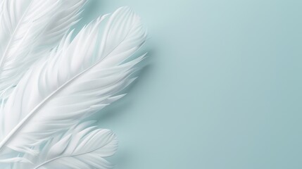 Obraz premium Soft white feathers intertwined, set against a tranquil backdrop, symbolizing calmness and hope
