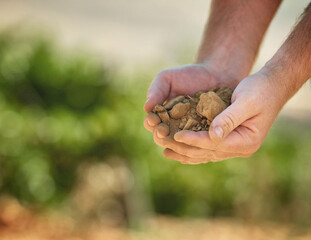 Nature, agriculture and hands with soil for farming and planting crops for sustainable business....