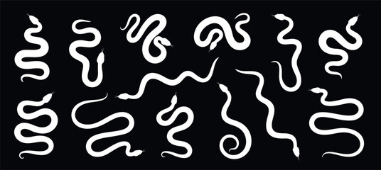 Snake silhouette set. Isolated snake silhouette on white background