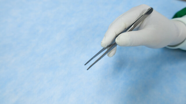 Hand in white glove holds stainless medical forcep. This stainless medical forcep used in surgery. Surgical instruments. Equipment use in surgery. Medical equipment.