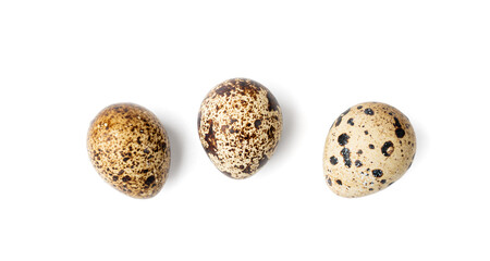 Obraz premium Quail Eggs, Diet Egg, Healthy Breakfast, Natural Organic Nutrition, Salad Ingredient Spotted Quail Egg