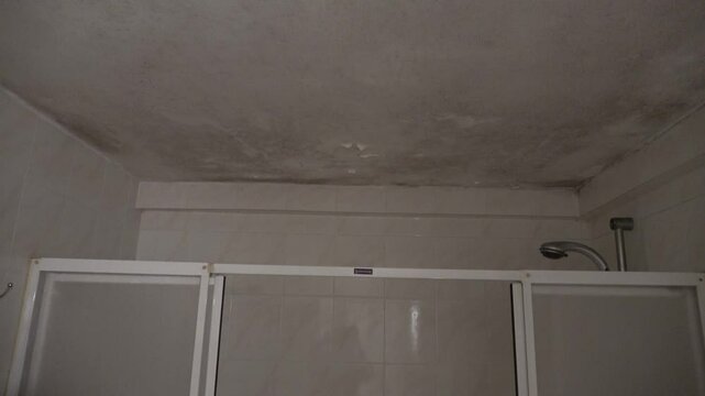 Tuzla, Istanbul, Turkey - 26th of February 2024: 4K Moldy ceiling above shower cabin in the bathroom
