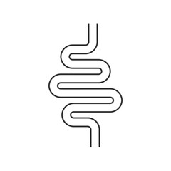 Intestinal tract icon on white. Vector