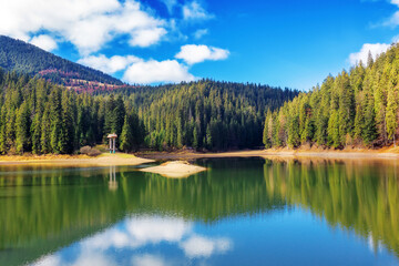 lake synevyr in mountains on a sunny day. forest reflecting in the water. beautiful scenery of ukraine in autumn season