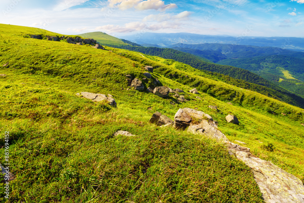 Canvas Prints alpine scenery of transcarpathia in summer. green highlands of ukraine. stones on the hillside. sunn