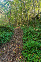 Hiking trail to Silicka ladnica abbys in Slovensky kras national park in Slovakia