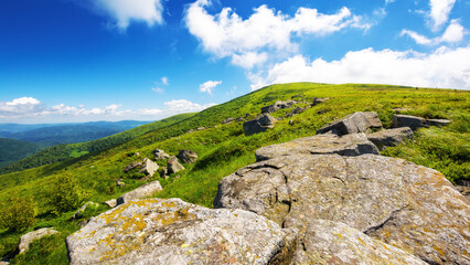 alpine scenery of transcarpathia in summer. green highlands of ukraine. stones on the hillside. sunny day. landscape of carpathian mountains