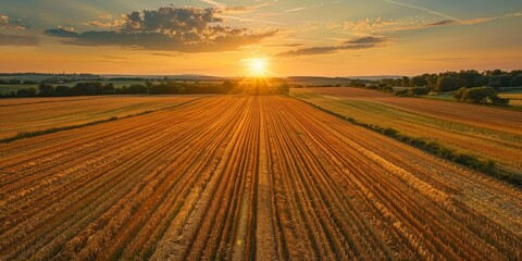 Aerial View of Farmland During Sunset Harvest