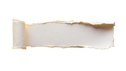 Torn ripper paper sheet Texture isolated on transparent background

