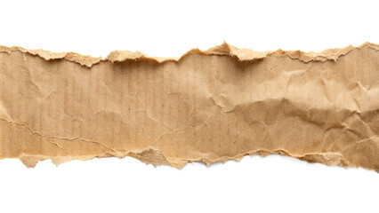 Fototapeta premium Torn ripper paper sheet Texture isolated on transparent background