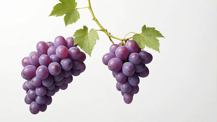 Grape clean white background isolated