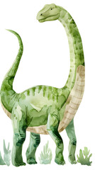 Fototapeta premium flat watercolor green beige diplodocus on the white background