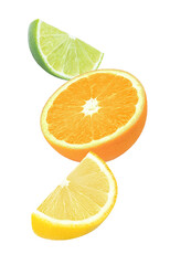 slice of orange, lime and lemon